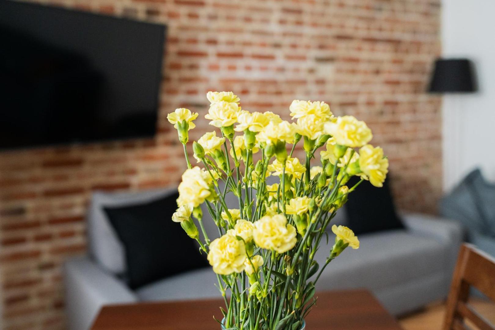 Big Apart - Nice Design - 3 Rooms - Wroclaw City Centre Exterior foto